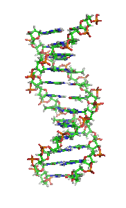 animated DNA orbit