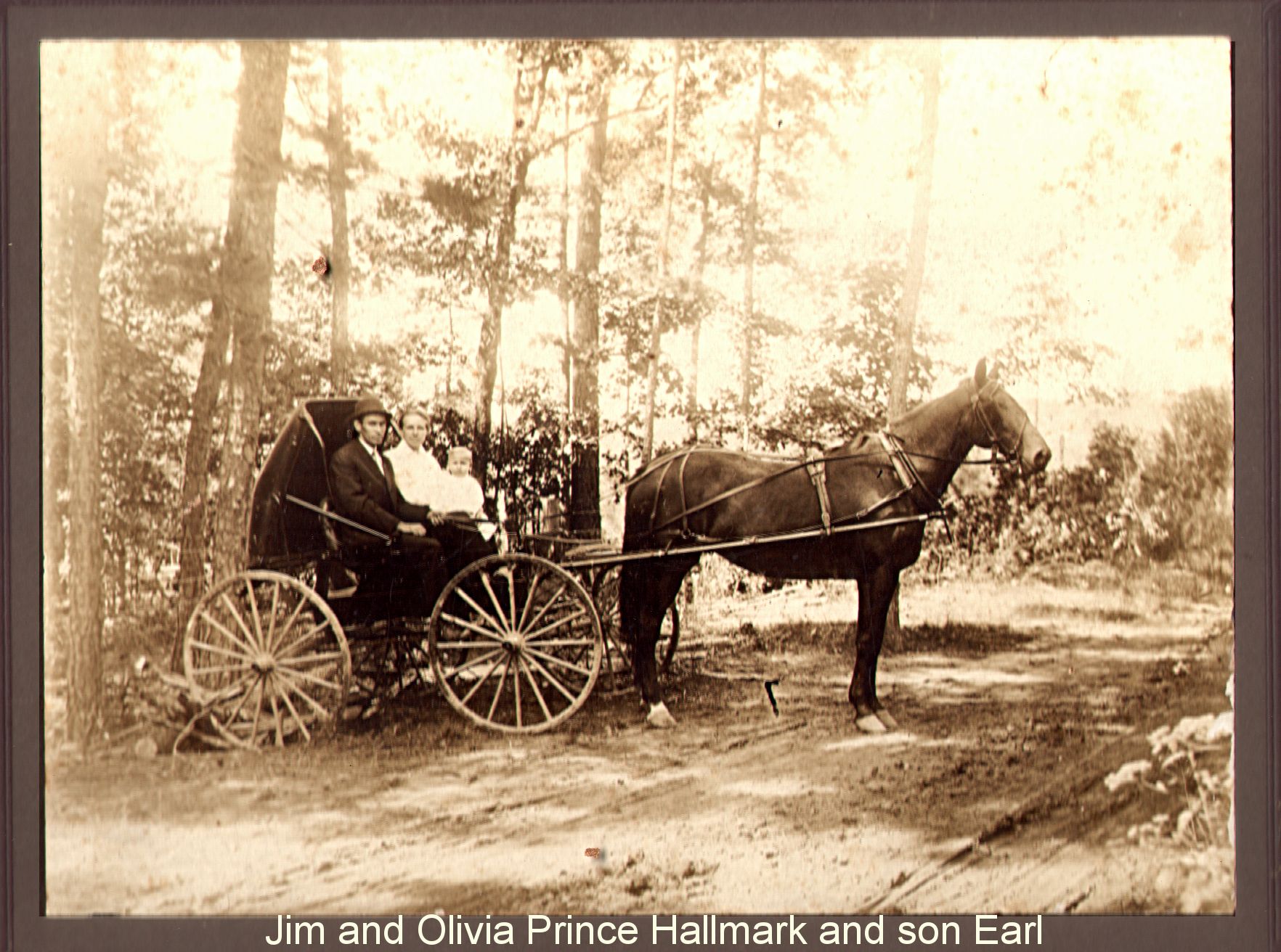Jim and Olivia Prince Hallmark, son Earl, in horse drawn buggy